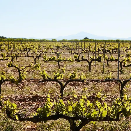 Fontclaire En Provence